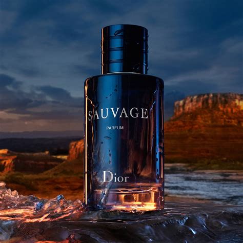 perfumy sauvage dior cena|dior sauvage 100ml best price.